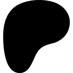 patreon 2 logo